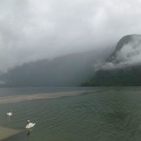 Озеро Гальштатзее в Австрийских Альпах....дождливо... :: Galina Dzubina