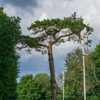 Усадьба графов Бобринских в Богородицке :: Дмитрий Ряховский