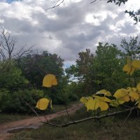 Осень,не за горами :: Андрей Хлопонин