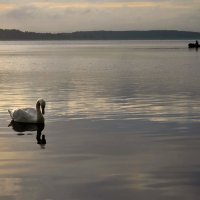 Два одиночества и озеро :: Регина 
