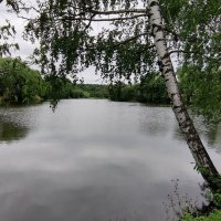 Большой пруд в Ясной Поляне :: Сергей Андриянов