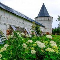 Николо Улеймский монастырь (3) :: Георгий А