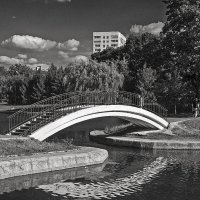 Парковый мостик :: Сергей Фомичев