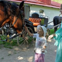 Алиса и конь-Бирон :: Елена Кирьянова