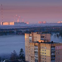 Предрассветный туман в Балашихе :: Ольга Решетникова