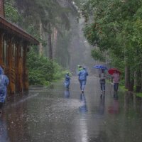 Дождь :: Михаил Измайлов