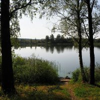 Клёвое место на озере. :: Милешкин Владимир Алексеевич 