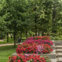 Цветник в Державинском парке на Фонтанке (Санкт-Петербург) :: Стальбаум Юрий 