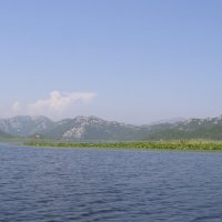 Скадарское озеро :: Анна Воробьева