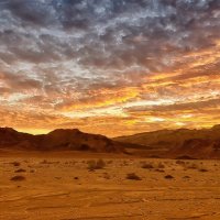 Рассвет в пустыне Негев :: Valentin Bondarenko