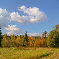 осенние краски леса :: Сергей Целищев