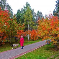 Осень...На прогулке с собакой в сквере Победы! :: Владимир 
