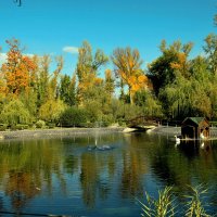 в ГОРОДСКОМ ПАРКЕ вОЛЬСКА. :: Анатолий Уткин