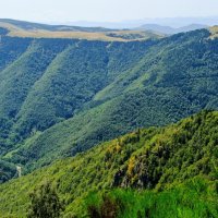 Столько леса в горах Пиренеи :: Георгий А