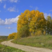 КРАСКИ ОСЕНИ. :: Владимир Мигонькин