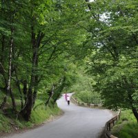 Дорога в горах Дагестана :: Татьяна 