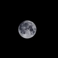 "Голубая Луна" (суперлуние) :: Андрей Жданов