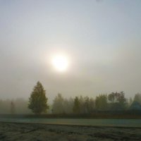 Поздняя осень..Солнце в тумане! :: Владимир 