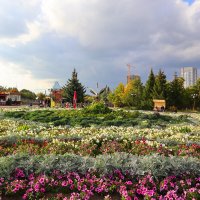 В парке :: Дмитрий Петров