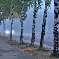 Туман. :: Александр Зуев