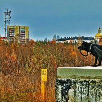 Осень...Тренировка овчарки! :: Владимир 