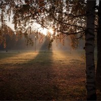 Утро в осеннем парке... :: Сергей Кичигин