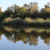 Река Ока осенью. :: Борис Митрохин