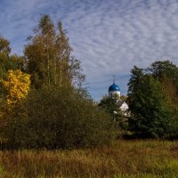 Теплая Подмосковная Осень # VII 24 :: Андрей Дворников