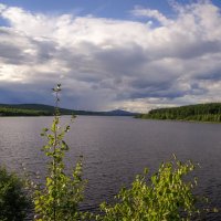 Андрюшинское водохранилище :: Николай Гирш