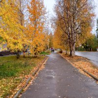 Дорожка в осень :: Алевтина 