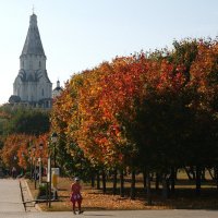 Осень в Коломенском. Москва. :: Лютый Дровосек