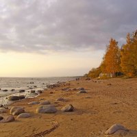 Осенние берега Финского залива. :: Лия ☼