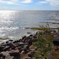 Осень Финского залива... :: Tatiana Markova