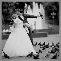 Любовь и голуби :: Наташа Королева