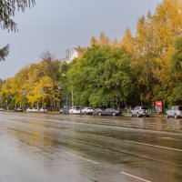 Осень на проспекте Мира. :: Виктор Иванович Чернюк