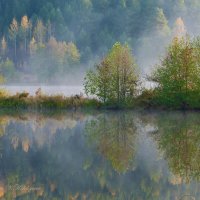 Осень на Явлейскм пруду :: Василий Колобзаров