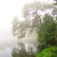 Осенний туман :: Андрей Снегерёв