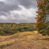 Октябрь в Царицыно... :: Владимир Жданов