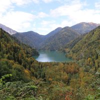 Осень у озера Рица :: Ольга 