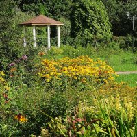 Беседка в Золотом саду Большого розария в парке Сокольники :: Лидия Бусурина