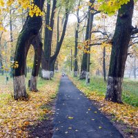 В городском парке :: Валерий Иванович