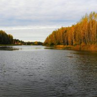Осеннее озеро (репортаж из поездок по области) :: Милешкин Владимир Алексеевич 