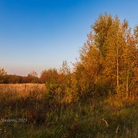 Осенний пейзаж :: Александр Синдерёв