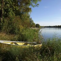 Ах осени приход! Он будто бы вода. Умоешься - И мысли обновились! Исикава Такубоку.... :: Galina Dzubina