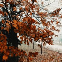 Парковый пейзаж.Осень. :: Юрий ГУКОВЪ