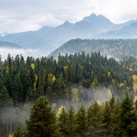 Облачность в горах Архыза :: Сергей Сабешкин