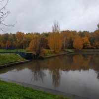 Экватор осени прошли :: Андрей Лукьянов