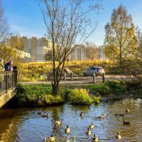 Осень в парке Оккервиль :: Юрий Велицкий