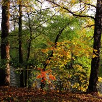 Краски осеннего утра :: Андрей Снегерёв