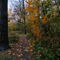 Октябрь в парке :: Андрей Лукьянов